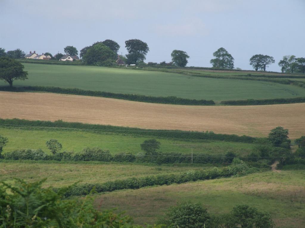 Petrock Holiday Cottages Newton Saint Petrock Exteriör bild