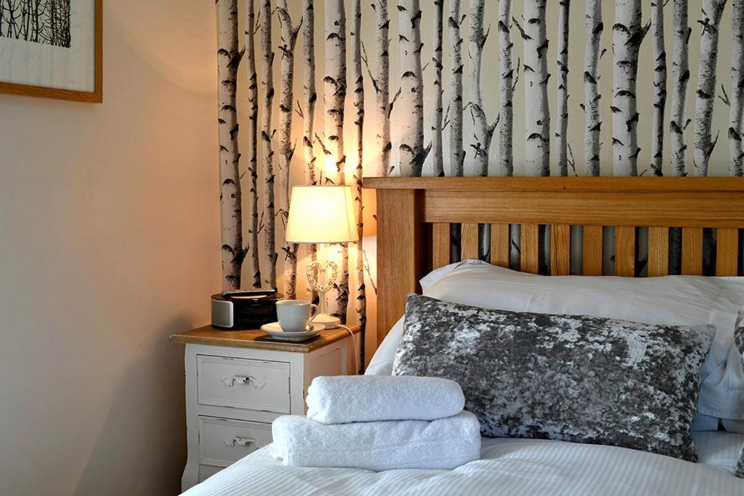 Petrock Holiday Cottages Newton Saint Petrock Exteriör bild